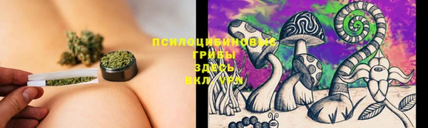 spice Алексеевка