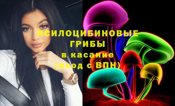 бошки Алексин